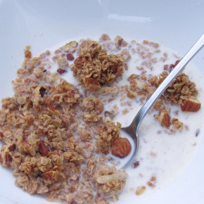 Honey Nut Granola